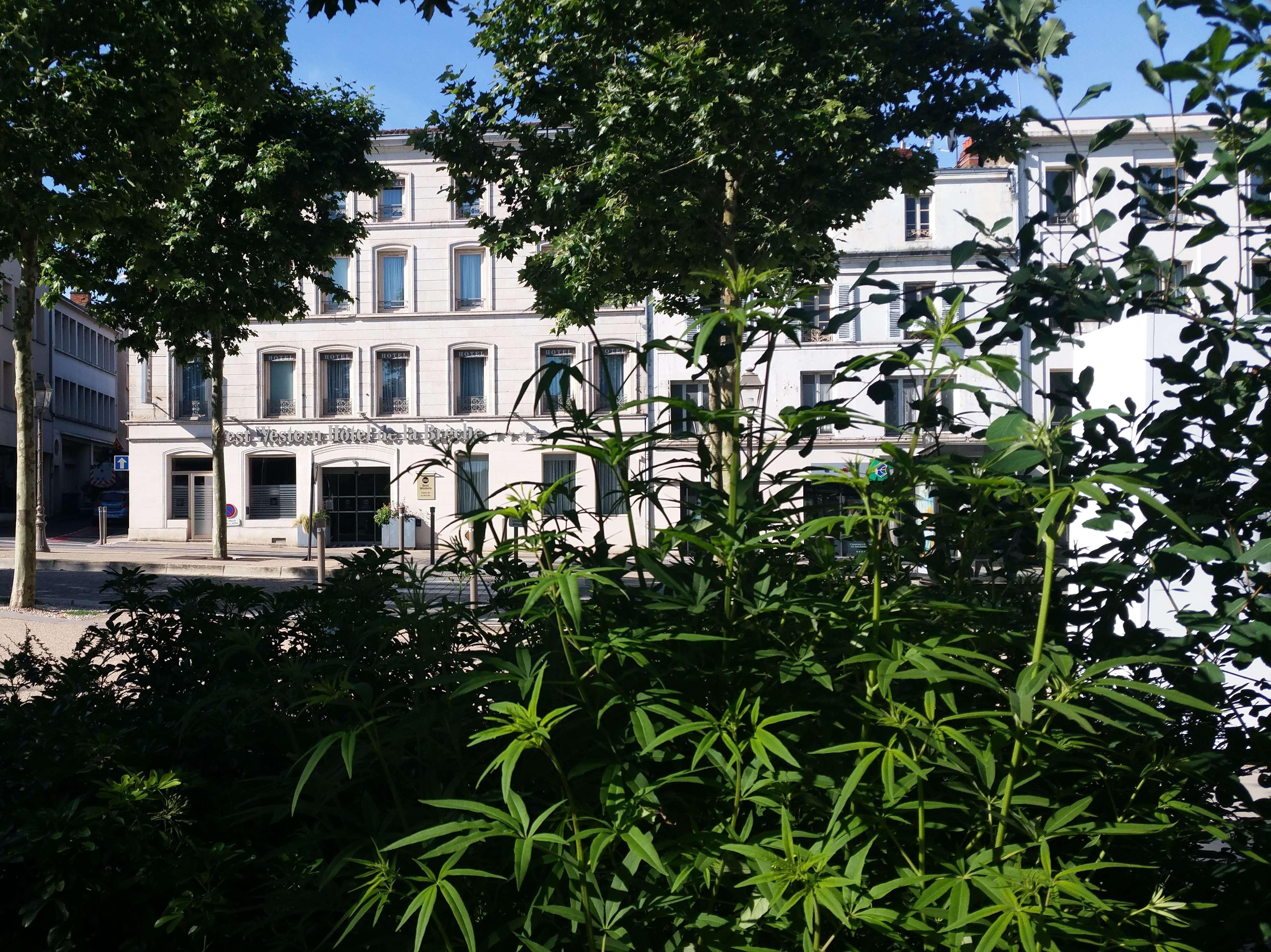 Best Western Hotel De La Breche Niort Eksteriør billede